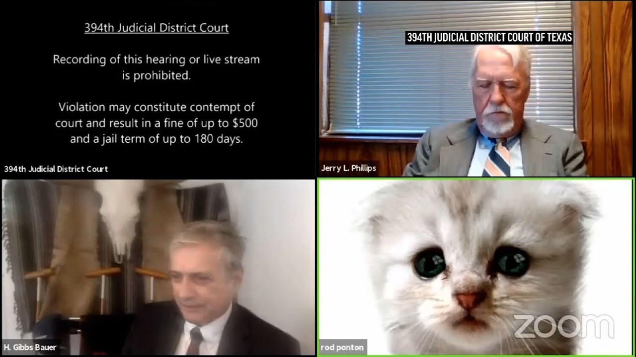 Primary Source: Screenshot
The “I am not a Cat” viral video of a lawyer who couldn’t figure out who to turn off his cat filter on Zoom during an online court session was a humorous example of people trying to adjust to working entirely online during the pandemic.